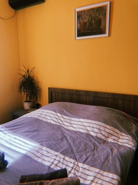 Home Away Home In Heart Of Τυφλίδα Εξωτερικό φωτογραφία